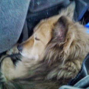 Meet your Posher, Keenan